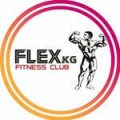 Flexkg Logo